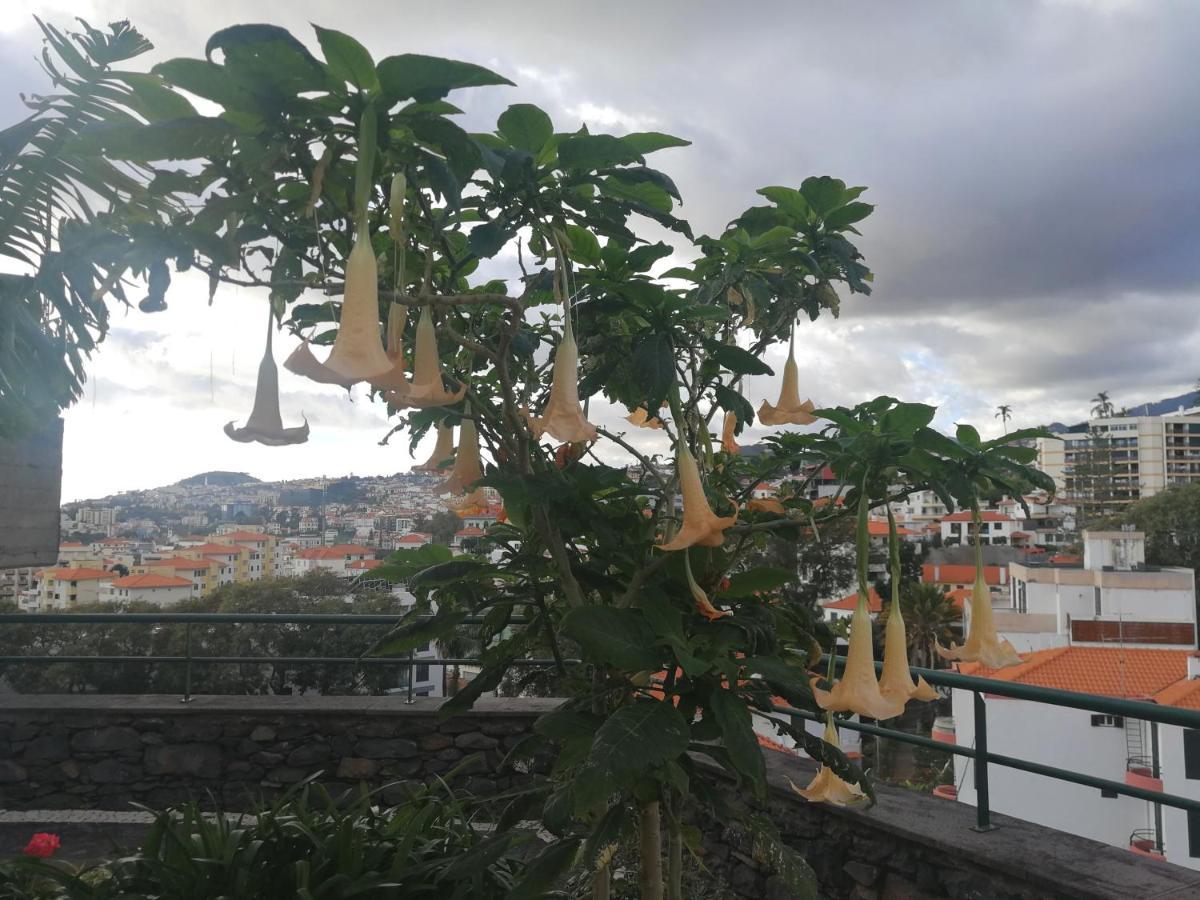 Casa Vanday Funchal  Bagian luar foto